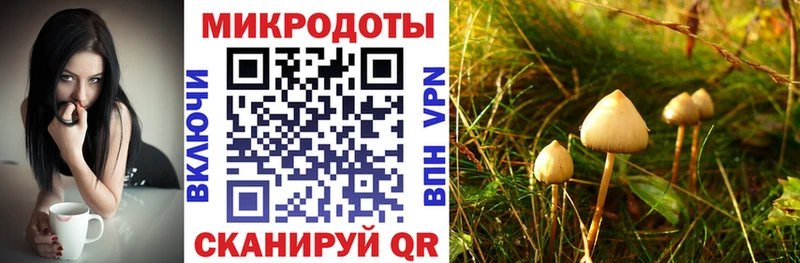 Галлюциногенные грибы GOLDEN TEACHER  закладка  Новоалександровск 